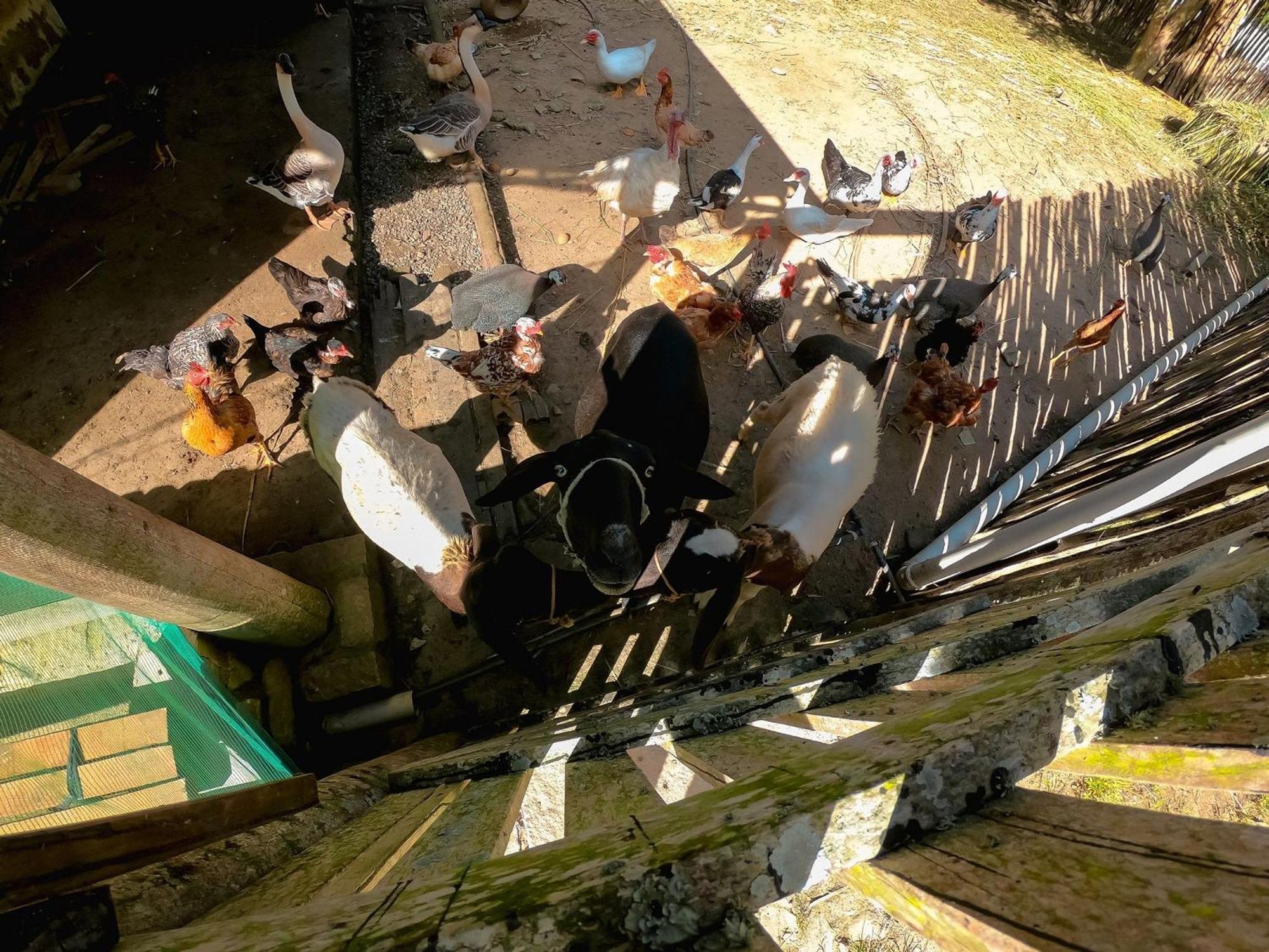 Saira Recanto De Serra Mulungu  Esterno foto