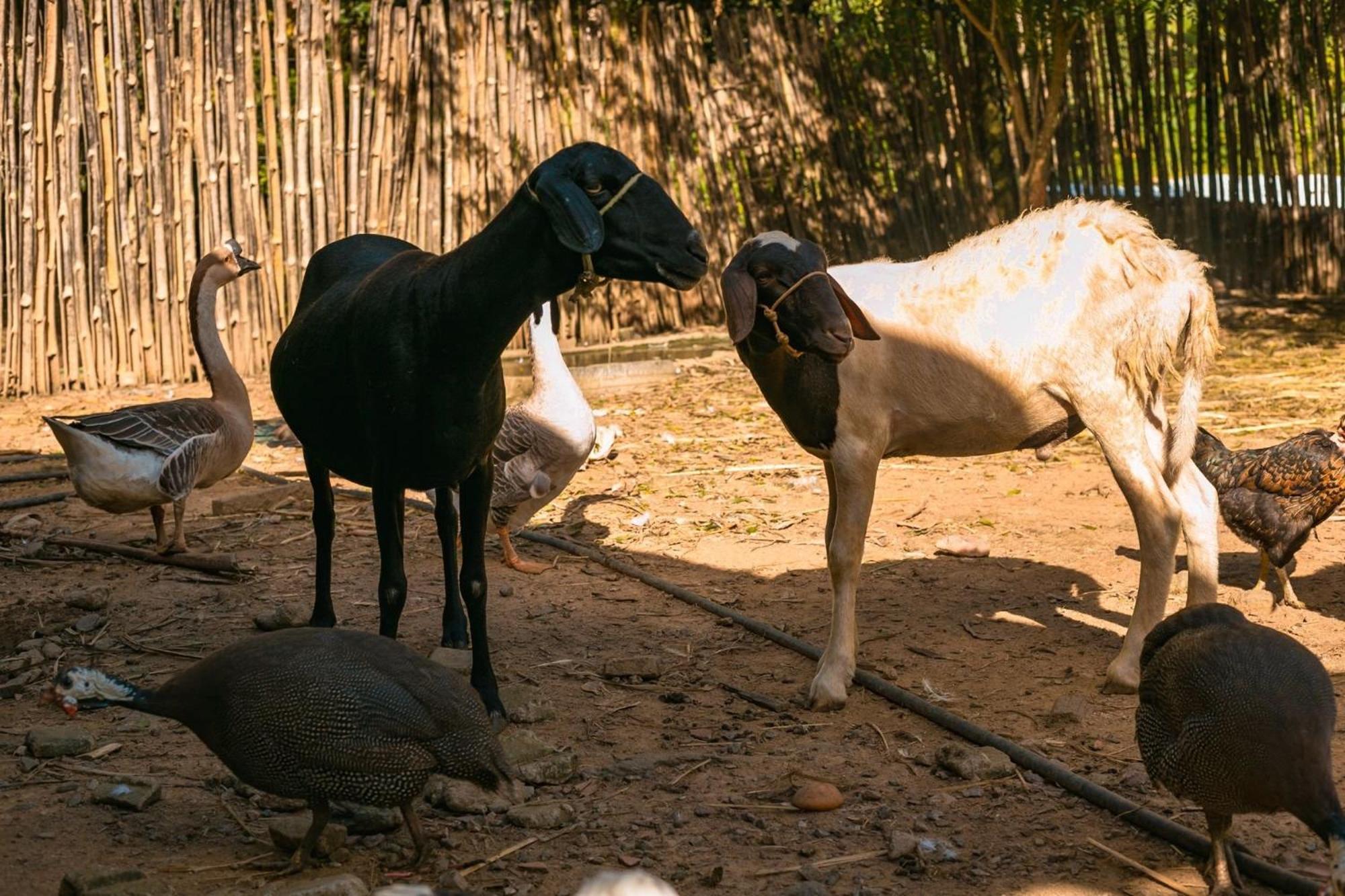 Saira Recanto De Serra Mulungu  Esterno foto